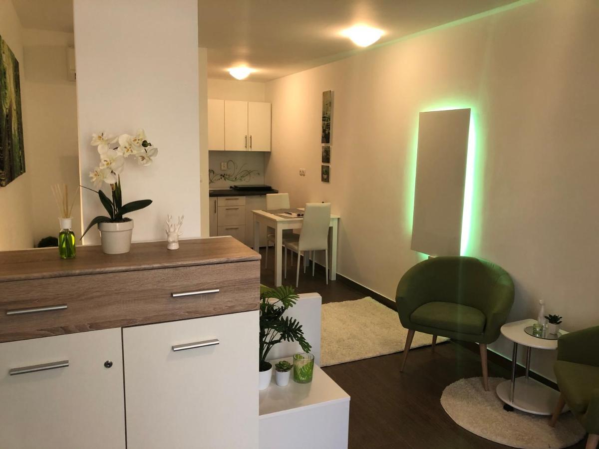 شقة Luxury Central Studio Under The Castle ليوبليانا المظهر الخارجي الصورة
